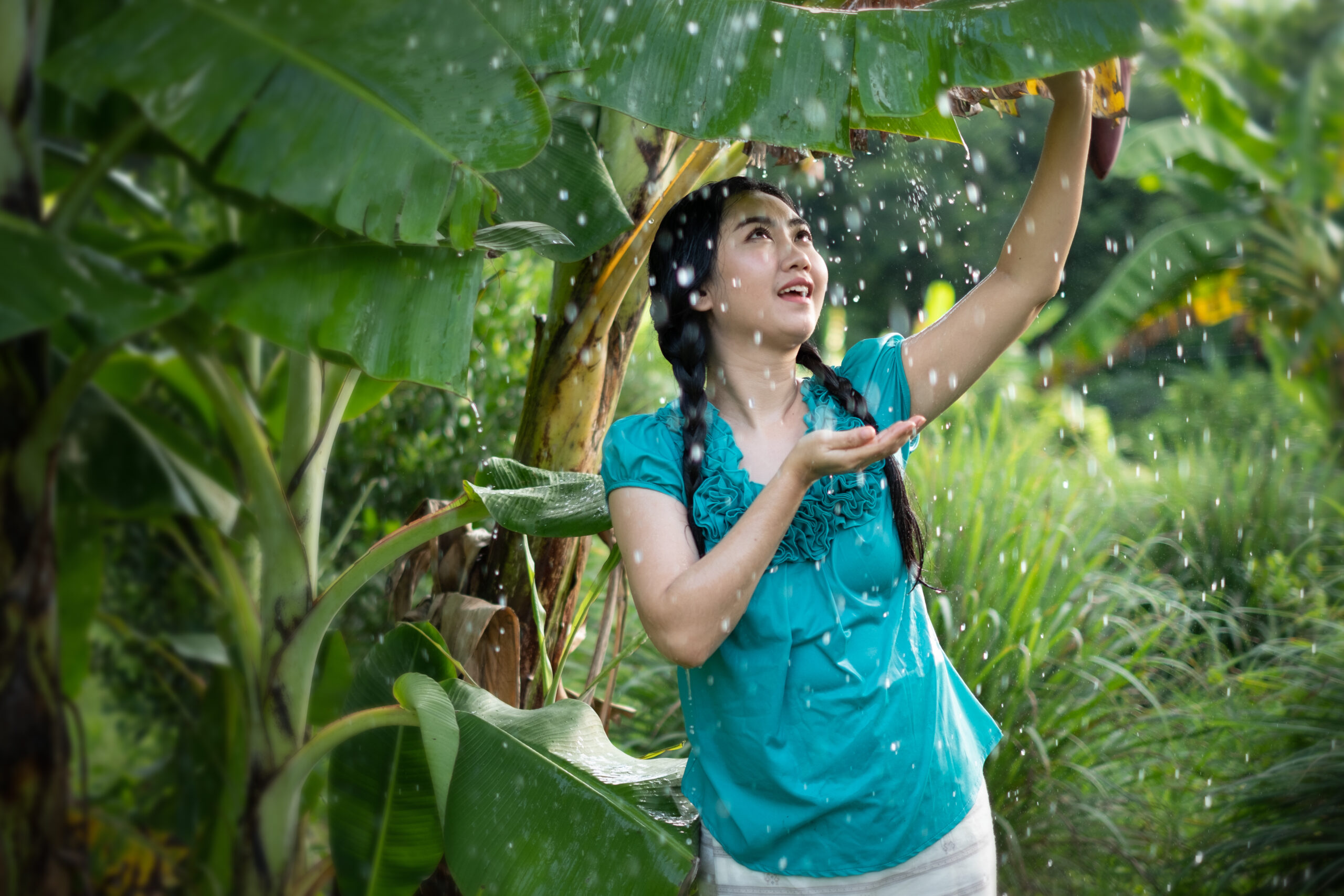 Tropical Rain