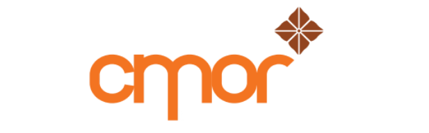 A detailed description of the image